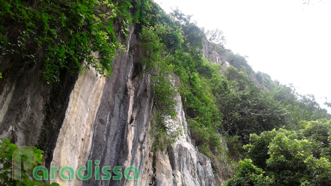 A limestone mountain at Thuy Nguyen, Hai Phong