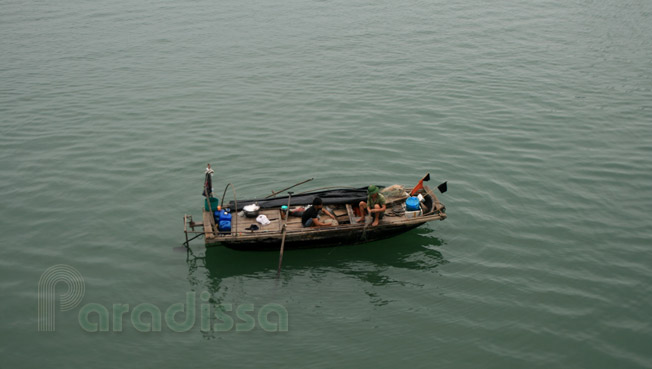 Cleaning the fishing net