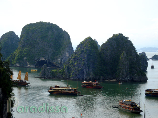Cruise boats in front of the Bo Nau Cave on Halong Bay Vietnam