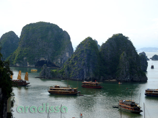 The Bo Nau Cave on Halong Bay Vietnam