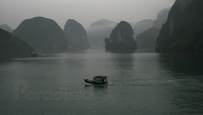 Fishing boat going back to the shore