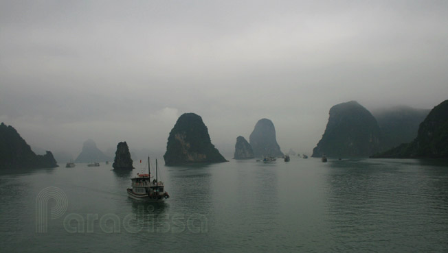 Busy Halong Bay