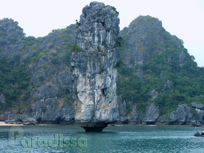 Amazing islands and islets on Halong Bay
