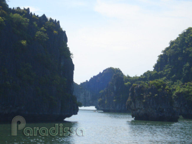 Wild islands on Halong Bay