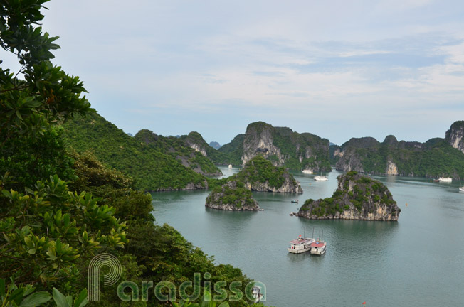A scenic panoramic view of Halong Bay from the Ti Tov Mountain