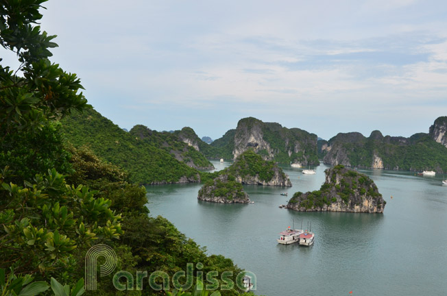 Halong Bay Vietnam