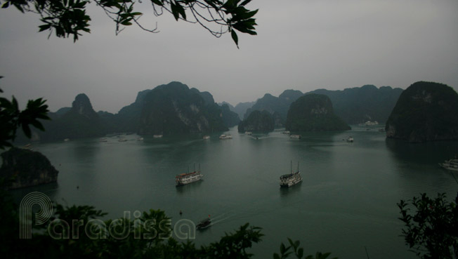 Stunning view of Halong Bay from Ti Tov Island