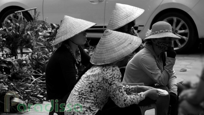 Des dames au marché aux bonsaïs