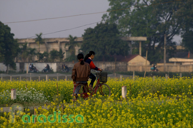 Two girls cycling amid flowers