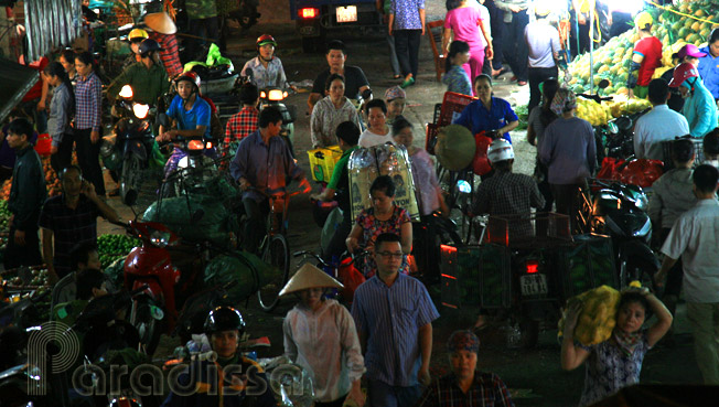 Long Bien market, view from the bridge