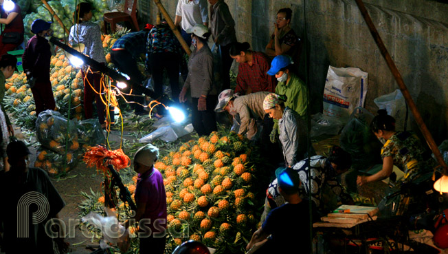 Pine apple shops