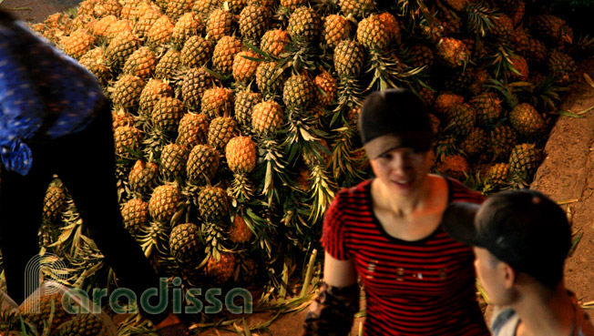 A pine apple shop