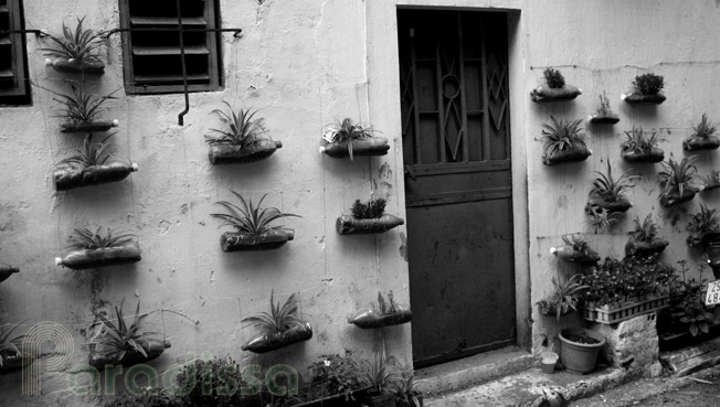 Decorations in front of a house