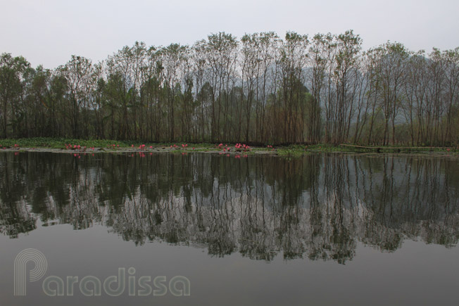 Scenery on the waterway to the Perfume Pagoda