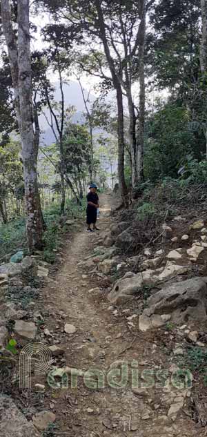 A trekking trail through a fores at Hang Kia
