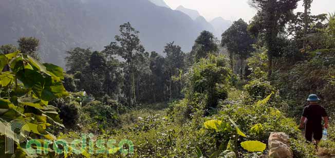 Landscape on a trek at Hang Kia