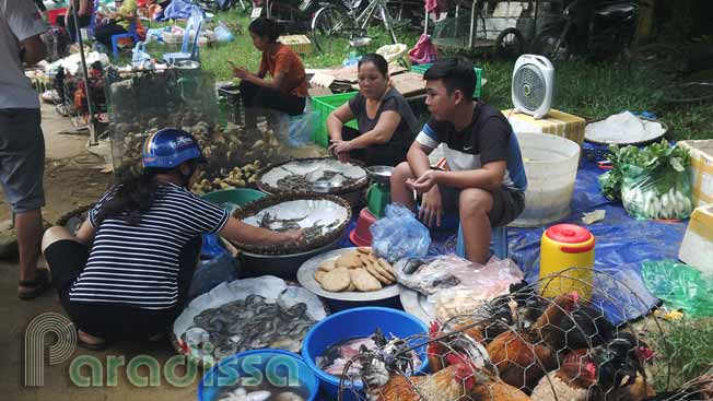 Seafood shop