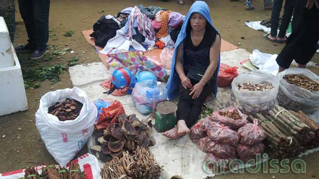 A merchant selling dry herbs at Mai Chau Sunday Market