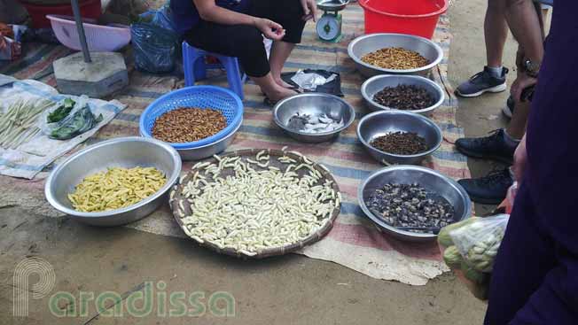 Silkworms as food