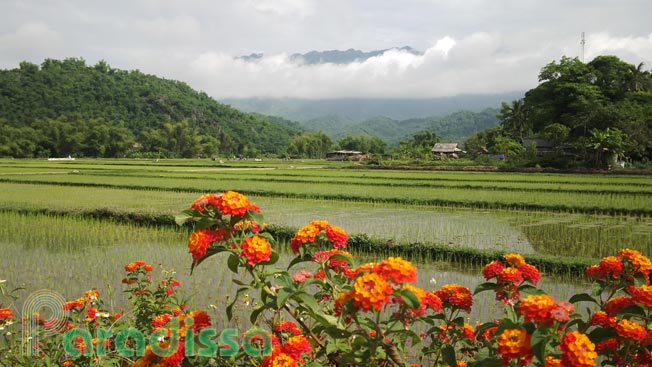 A Thai village in the Mai Chau Valley in Mai Chau District