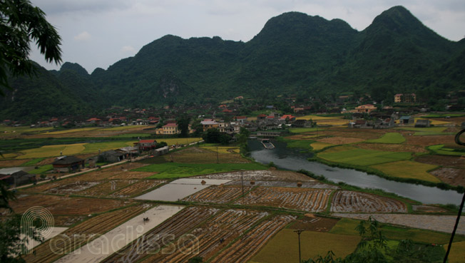 Bac Son rice valley