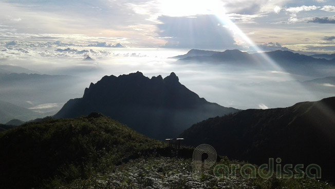 Morning at Nui Muoi Mountain