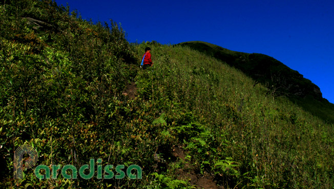 Hiking to the summit of the Lao Than Mountain in Bat Xat District, Lao Cai Province