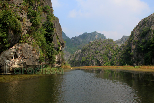 The further you travel into the nature reserve it turns more to be an amazing place with bird chirping and vivid wildlife