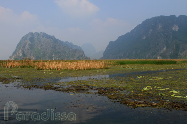 With blue skies and water reflection you will have a great time taking a rowing boat trip through this wetland