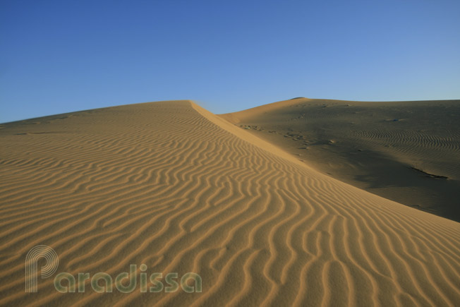 Nam Cuong Sand Dune, Phan Rang Thap Cham, Ninh Thuan, Vietnam