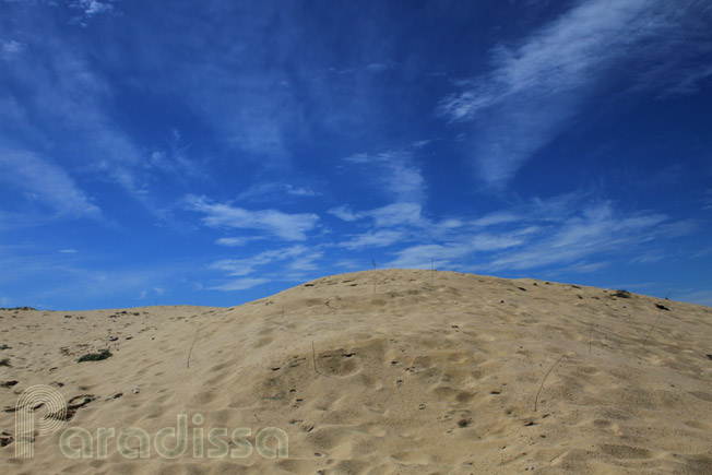 Impressive sand dunes and sandy beaches at Song Cau, Phu Yen