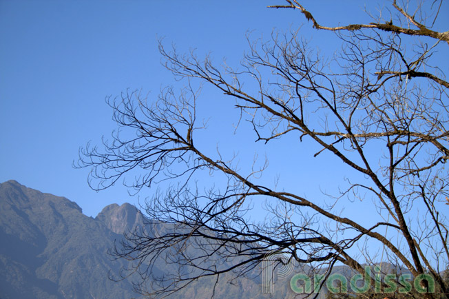 Le mont à couper le souffle de Hoang Lien , Sapa, Vietnam