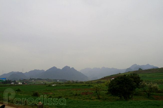 Green farms at Moc Chau