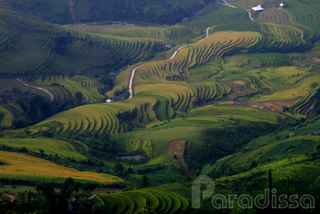 amazing landscape at the Khau Pha Pass