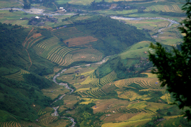 A view from above of the Khau Pha River during golden rice season