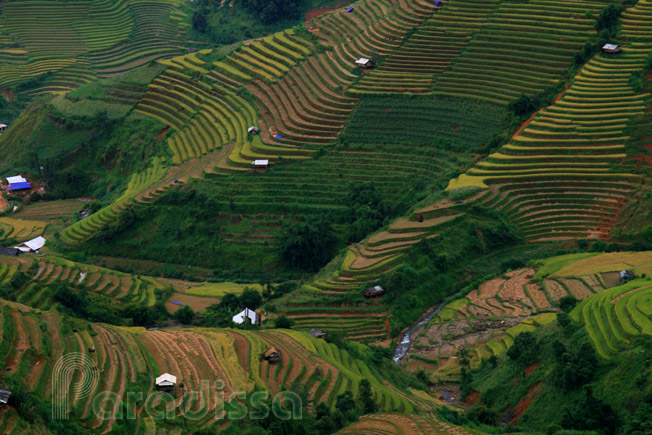 Mountain slopes carved into rice terraces