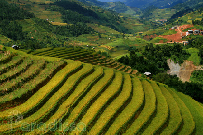Stunning rice terraces at Mu Cang Chai in Yen Bai Province, Vietnam