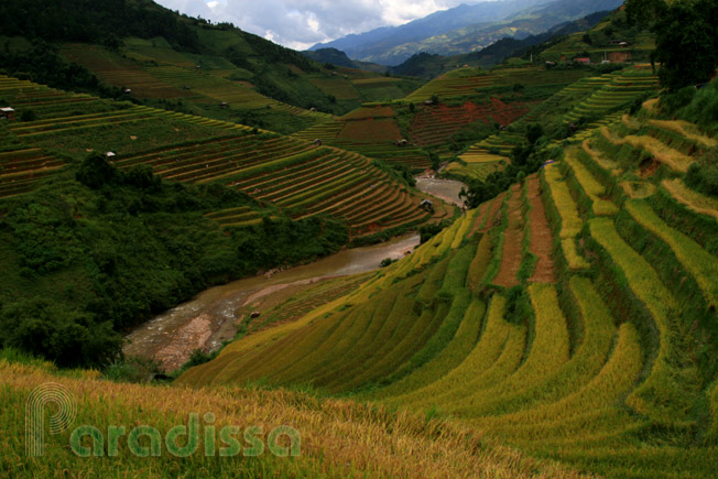 A narrow mountain gorge carved into amazing terraced ricefields