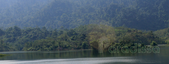 Lush nature at Ta Tai and Cardamom Mountains, Koh Kong, Cambodia