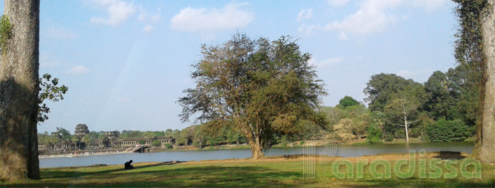 The landscape outside of Angkor Wat, Siem Reap, Cambodia