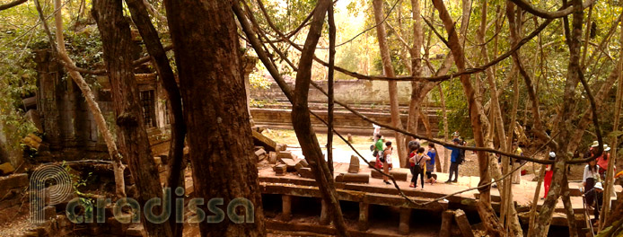 Beng Mealea Temple, Cambodia