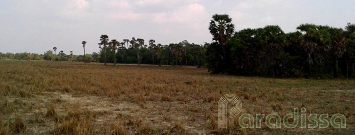 The countryside outside of Siem Reap