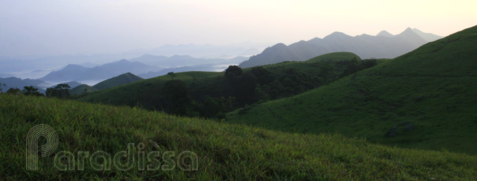 Dong Cao,  Son Dong, Bac Giang