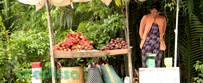 A fruit stall on a road at Ben Tre