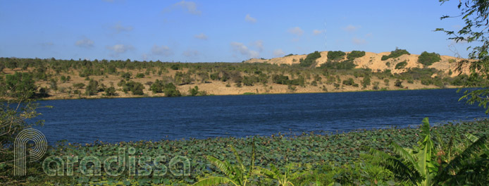 Bau Sen (Lotus Flower Lake) at Binh Thuan, Vietnam