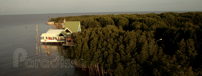 Cape Ca Mau National Park