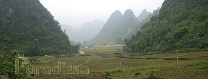 Scenic road to the Ban Gioc Waterfall