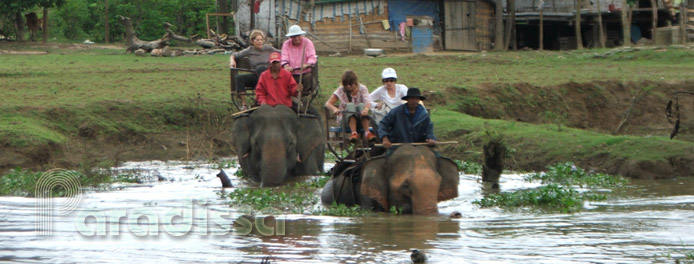 promenade à dos d'éléphant au lac Lak