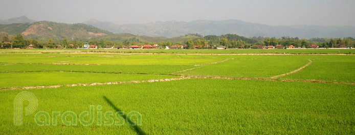 Muong Thanh Valley, Dien Bien Phu Travel Guide