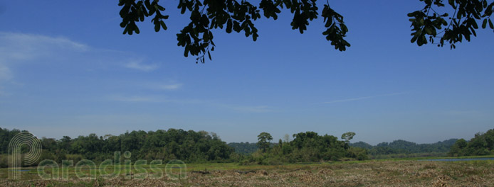 Le parc national de Cat Tien, Dong Nai